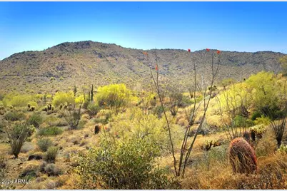 14317 E Mourning Dove Drive, Fountain Hills, AZ 85268 - Photo 5