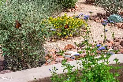 1135 S Broadway Lane, Gold Canyon, AZ 85119 - Photo 75