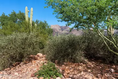 1135 S Broadway Lane, Gold Canyon, AZ 85119 - Photo 85