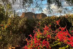 1135 S Broadway Ln, Gold Canyon, AZ 85119 - Photo 113