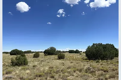 12 County Rd N3111 -- #-, Vernon, AZ 85940 - Photo 13