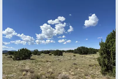 12 County Rd N3111 -- #-, Vernon, AZ 85940 - Photo 11