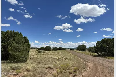 47 County Rd N3110 -- #-, Vernon, AZ 85940 - Photo 7