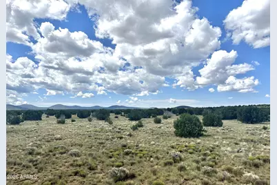 53 County Rd N3110 -- #-, Vernon, AZ 85940 - Photo 15