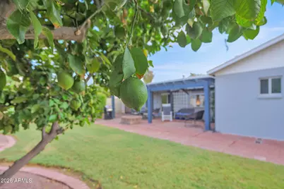 4826 E Fairmount Avenue, Phoenix, AZ 85018 - Photo 27