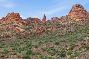 749 E McDowell Blvd, Apache Junction, AZ 85119 - Photo 51