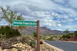 9205 E Avenida Fiebre De Oro, Gold Canyon, AZ 85118 - Photo 39