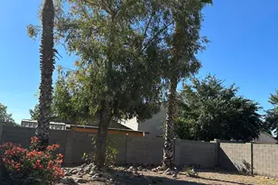969 E Denim Trail, San Tan Valley, AZ 85143 - Photo 21