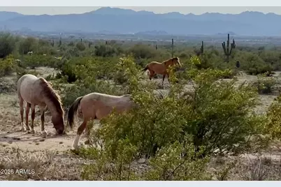 12198 E Doubletree Ranch Road, Scottsdale, AZ 85259 - Photo 51