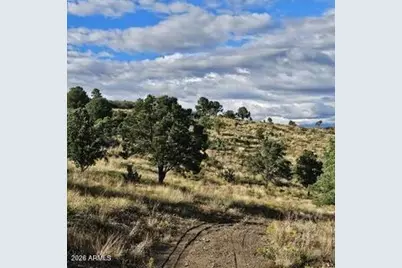 003 Blue Sky -- #1C, Peeples Valley, AZ 86332 - Photo 5