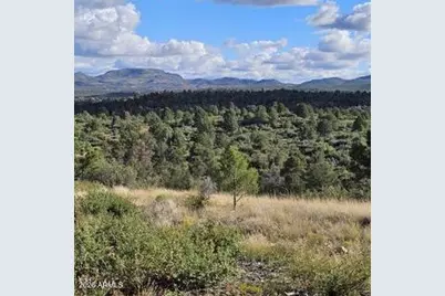 003 Blue Sky -- #1C, Peeples Valley, AZ 86332 - Photo 9