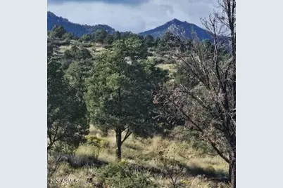 003 Blue Sky -- #1C, Peeples Valley, AZ 86332 - Photo 3