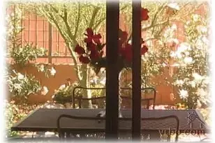 2250 E Deer Valley Rd, Phoenix, AZ 85024 - Photo 7