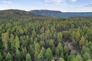 194 E Blue Jay Cir, Payson, AZ 85541 - Photo 79
