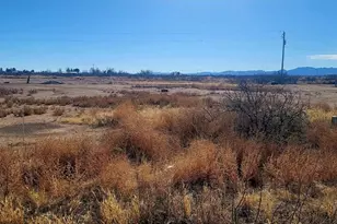 Lot 13 W Swisshelm Trail, Elfrida, AZ 85610 - Photo 1