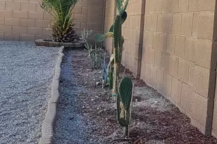 22263 W Shadow Dr, Buckeye, AZ 85326 - Photo 15