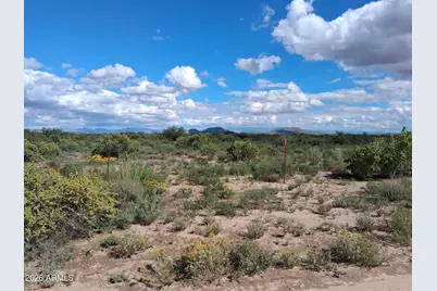 Tbd N Cottontail Lane #1, Cochise, AZ 85606 - Photo 15