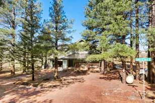 535 Lots a Luck Ln, Mormon Lake, AZ 86038 - Photo 45