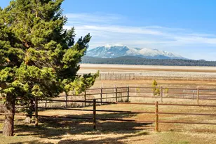 535 Lots a Luck Ln, Mormon Lake, AZ 86038 - Photo 15