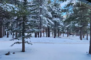535 Lots a Luck Ln, Mormon Lake, AZ 86038 - Photo 61