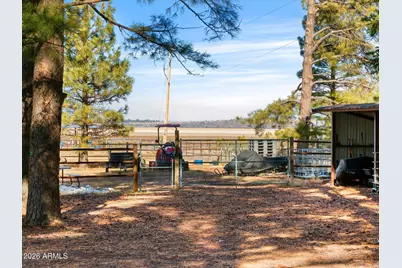 535 Lots A Luck Lane, Mormon Lake, AZ 86038 - Photo 53