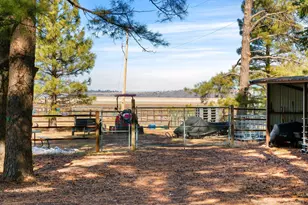 535 Lots a Luck Ln, Mormon Lake, AZ 86038 - Photo 53