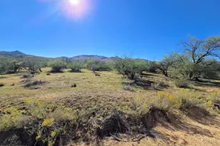 44 W Traveler Way, Congress, AZ 85332 - Photo 1