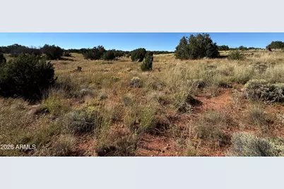 100 N County Road 5331 Road, Concho, AZ 85924 - Photo 7