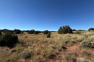 100 N County Road 5331 Rd, Concho, AZ 85924 - Photo 7