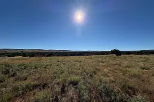 100 N County Road 5331 Rd, Concho, AZ 85924 - Photo 5