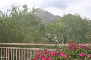 16469 N 106th Pl, Scottsdale, AZ 85255 - Photo 33