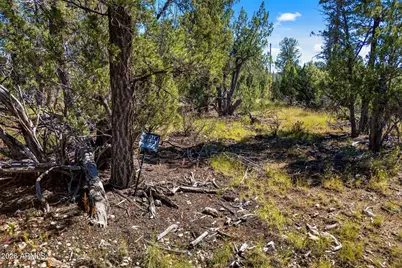 1948 Elk Road #029E, Heber, AZ 85928 - Photo 1