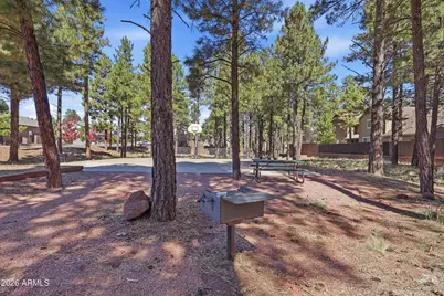 2449 W Bruce Balle Drive, Flagstaff, AZ 86001 - Photo 65
