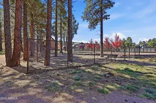 2449 W Bruce Balle Dr, Flagstaff, AZ 86001 - Photo 63