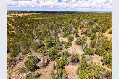 135 E Hualpai Trail #429, Williams, AZ 86046 - Photo 9