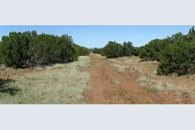 9331 Shady Oak Trail #-, Show Low, AZ 85901 - Photo 7