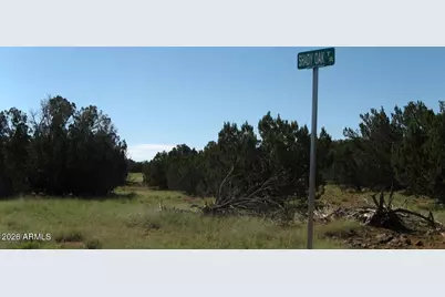 9331 Shady Oak Trail #-, Show Low, AZ 85901 - Photo 9