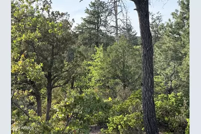 700 N Tyler Parkway #-, Payson, AZ 85541 - Photo 7