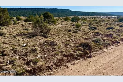 85 Co Rd 8500 40 Acres -- #-, Concho, AZ 85924 - Photo 7