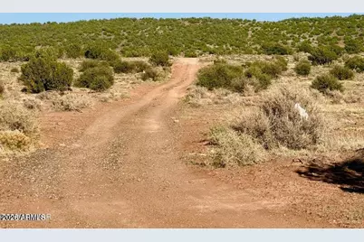 85 Co Rd 8500 40 Acres -- #-, Concho, AZ 85924 - Photo 5