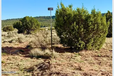 85 Co Rd 8500 40 Acres -- #-, Concho, AZ 85924 - Photo 13