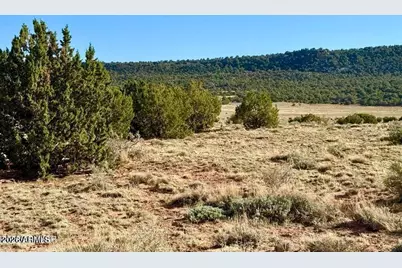 85 Co Rd 8500 40 Acres -- #-, Concho, AZ 85924 - Photo 17