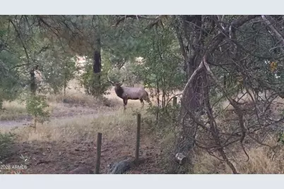 [Address not provided], Pinedale, AZ 85934 - Photo 25