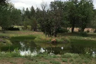 [Address not provided], Pinedale, AZ 85934 - Photo 3
