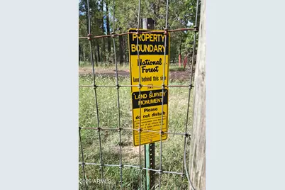 [Address not provided], Pinedale, AZ 85934 - Photo 13