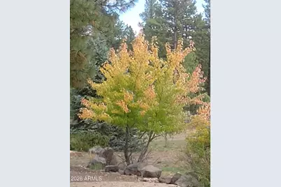 [Address not provided], Pinedale, AZ 85934 - Photo 11