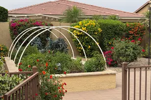 3672 E San Carlos Pl, Chandler, AZ 85249 - Photo 47