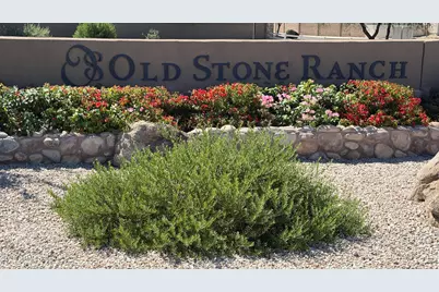 3672 E San Carlos Place, Chandler, AZ 85249 - Photo 49