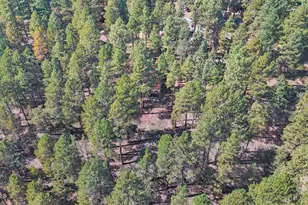 2574 Tyende Ovi, Flagstaff, AZ 86005 - Photo 49