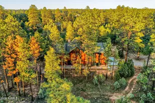 2790 Pine Rim Rd, Overgaard, AZ 85933 - Photo 45